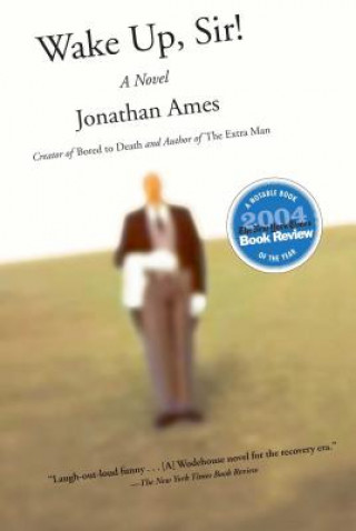 Kniha Wake Up, Sir! Jonathan Ames