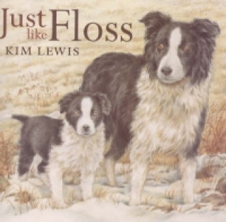 Kniha Just Like Floss Kim Lewis