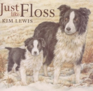 Livro Just Like Floss Kim Lewis
