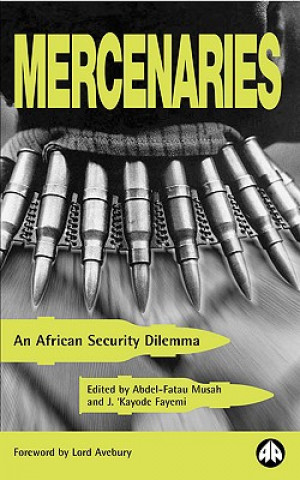 Könyv Mercenaries J.Kayode Fayemi