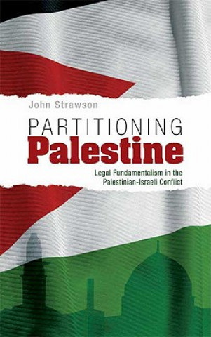 Kniha Partitioning Palestine John Strawson