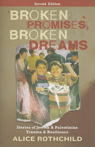 Buch Broken Promises, Broken Dreams Alice Rothchild