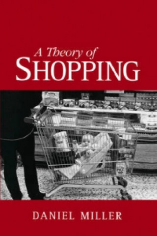 Kniha Theory of Shopping Daniel Miller