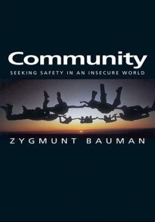 Carte Community - Seeking Safety in an Insecure World Zygmunt Bauman