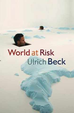 Livre World At Risk Beck