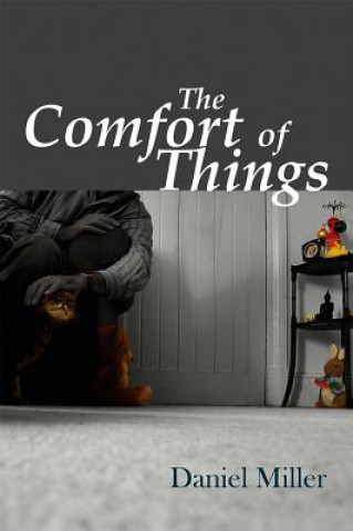 Kniha Comfort of Things Daniel Miller