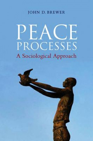 Buch Peace Processes - A Sociological Approach Brewer