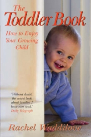 Kniha Toddler Book Rachel Waddilove