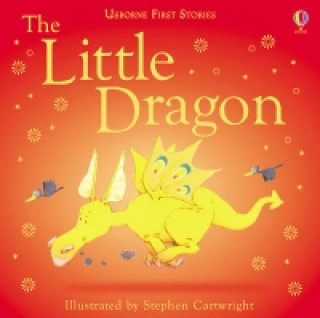 Kniha Little Dragon Heather Amery
