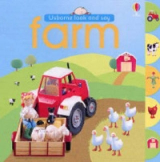 Kniha Usborne Look and Say Farm F Brooks