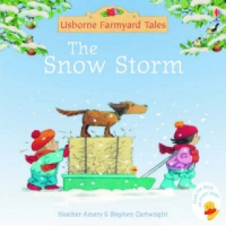 Kniha Snow Storm Heather Amery