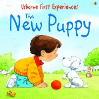 Könyv Usborne First Experiences The New Puppy Anna Civardi