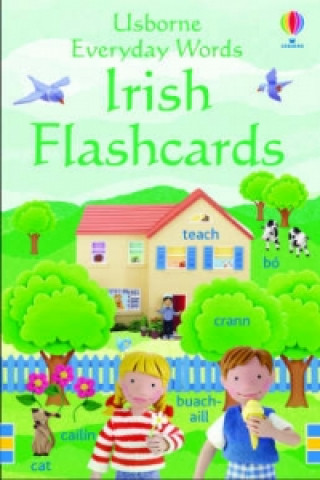 Materiale tipărite Everyday Words in Irish Flashcards Felicity Brooks