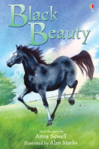 Book Black Beauty Anna Sewell