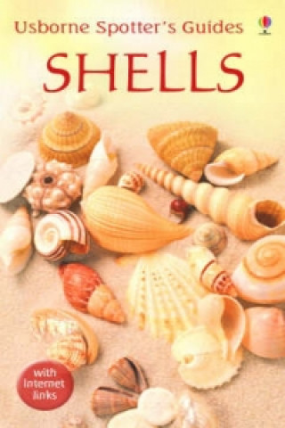 Livre Shells Graham Saunders