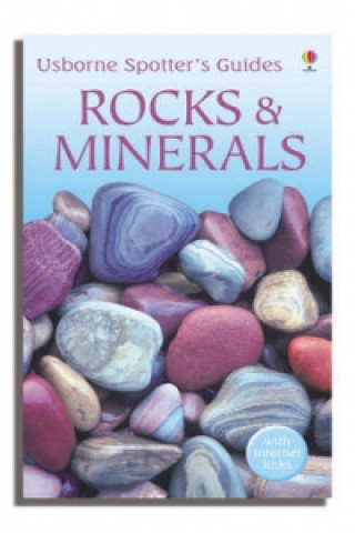 Książka Rocks and Minerals Alan R. (Department of Mineralogy Woolley