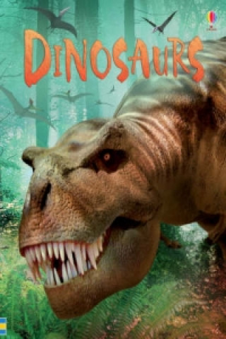 Könyv Dinosaurs Stephanie Turnbull