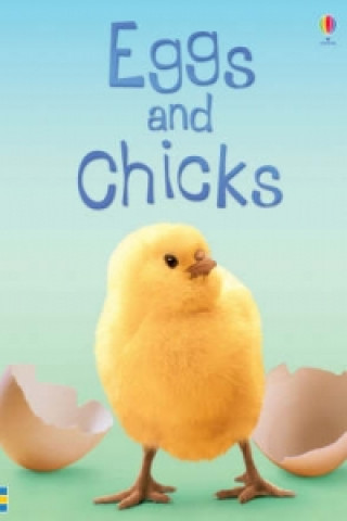 Kniha Eggs and Chicks Fiona Patchett