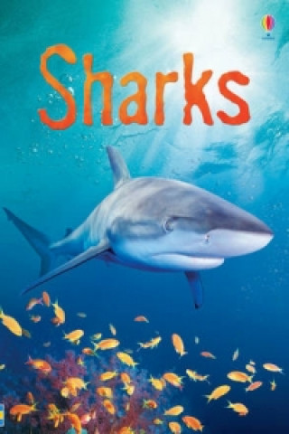 Book Sharks Catriona Clarke