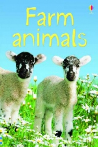 Buch Farm Animals Katie Daynes