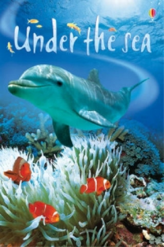 Kniha Under the Sea Fiona Patchett