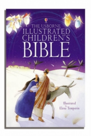 Book Illustrated Children's Bible Various