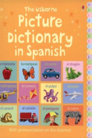 Kniha Picture Dictionary in Spanish 