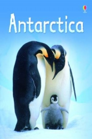 Kniha Antarctica Lucy Bowman