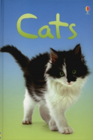 Kniha Cats Anna Milbourne