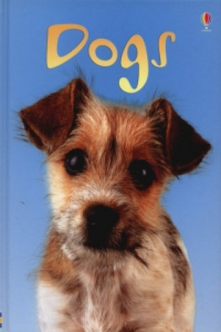 Könyv Dogs Emma Helbrough