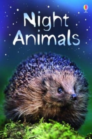 Kniha Night Animals Sam Meredith