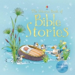 Book Bible Stories 