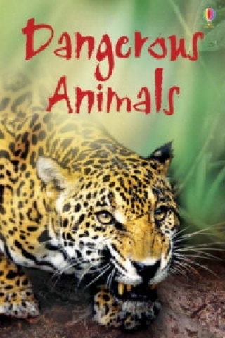 Kniha Dangerous Animals Rebecca Gilpin