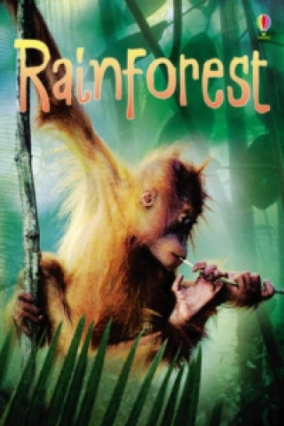 Book Rainforests Catriona Clarke
