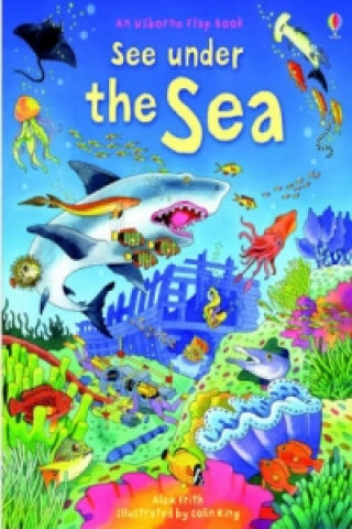 Kniha See Under the Sea Kate Davies