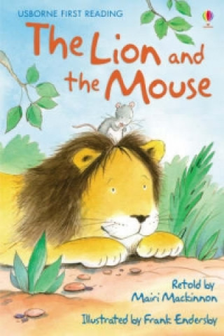 Kniha Lion and The Mouse MACKINNON