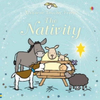 Kniha Touchy-feely The Nativity Fiona Watt