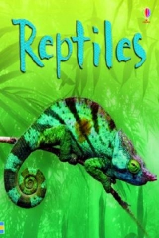 Kniha Reptiles Catriona Clarke