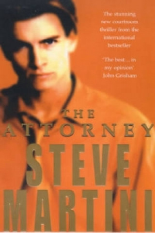 Könyv Attorney Steve Martini
