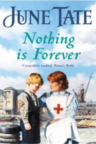 Boek Nothing Is Forever June Tate