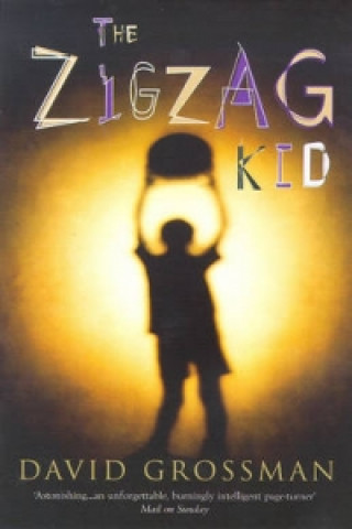 Könyv Zigzag Kid David Grossman