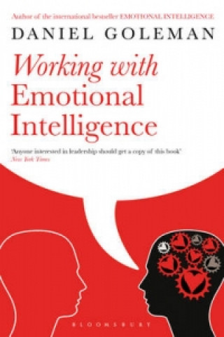 Könyv Working with Emotional Intelligence Daniel Goleman