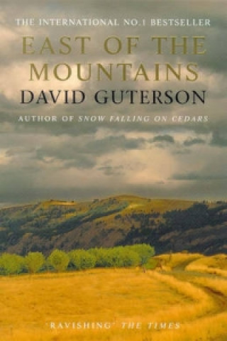 Βιβλίο East of the Mountains David Guterson