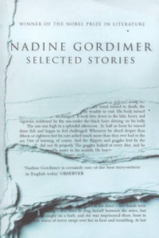 Kniha Selected Stories Nadine Gordimer
