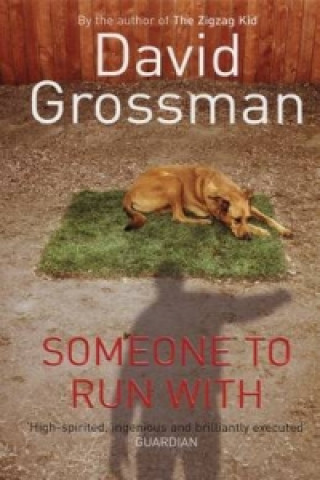 Könyv Someone to Run with David Grossman