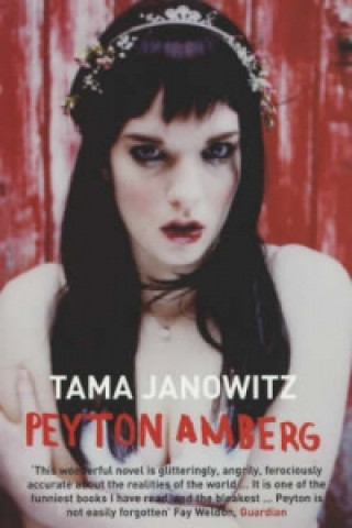 Book Peyton Amberg Tama Janowitz