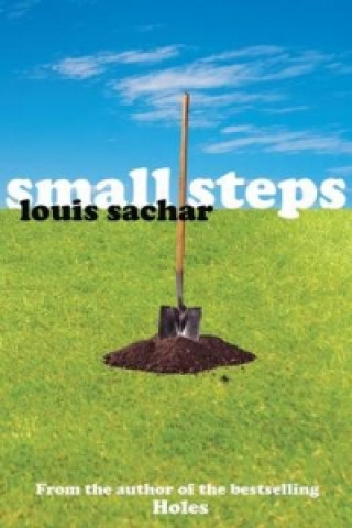 Könyv Small Steps Louis Sachar