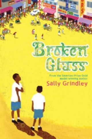 Kniha Broken Glass Sally Grindley