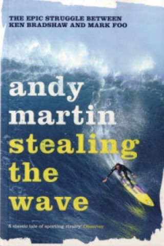 Book Stealing the Wave Andy Martin