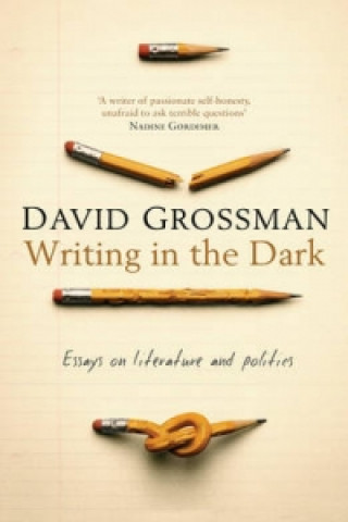 Könyv Writing in the Dark David Grossman